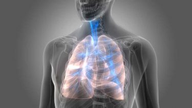 慢性閉塞性肺疾患（COPD）とは？歯周病によって発症リスクが４倍に？！